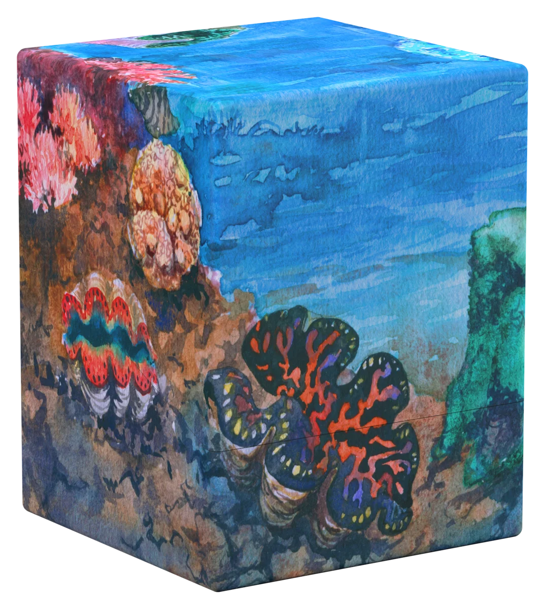 RTE Boulder 100+ Coral Places - seablue hush